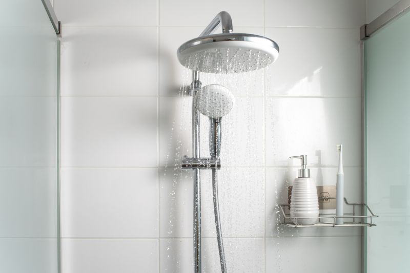 Contemporary Shower with Rain Head